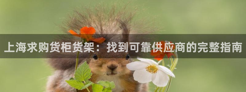 杏运体育