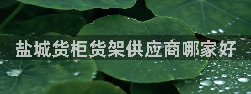 杏运登录