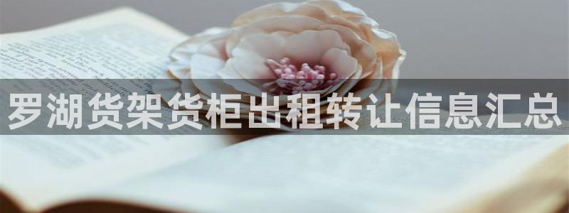 杏运体育官方网址：罗湖货架货柜出租转让信