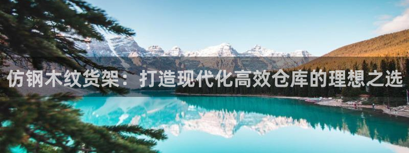 杏运注册：仿钢木纹货架：打造现代化高效仓