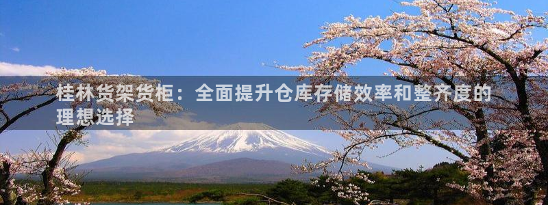 杏运平台代理：桂林货架货柜：全面提升仓库